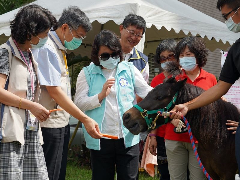 ▲市政團隊參觀多元的馬術健康休閒運動體驗。(圖/嘉義巿政府提供)