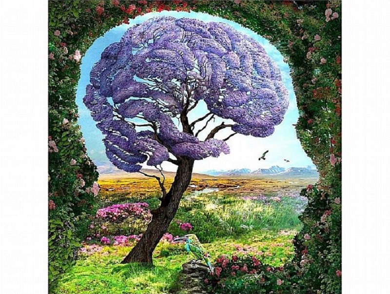 ▲第一眼看到什麼？答案將測出你不為人知的「內在性格」。（圖／翻攝自Look Pretty）