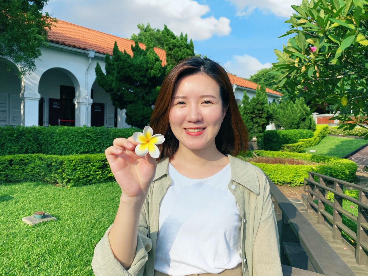 ▲新北市立淡水古蹟博物館端午連假期間正常開館，其中特別推薦至前清淡水關稅務司官邸（小白宮）前院欣賞雞蛋花。（圖/淡水古蹟博物館提供）