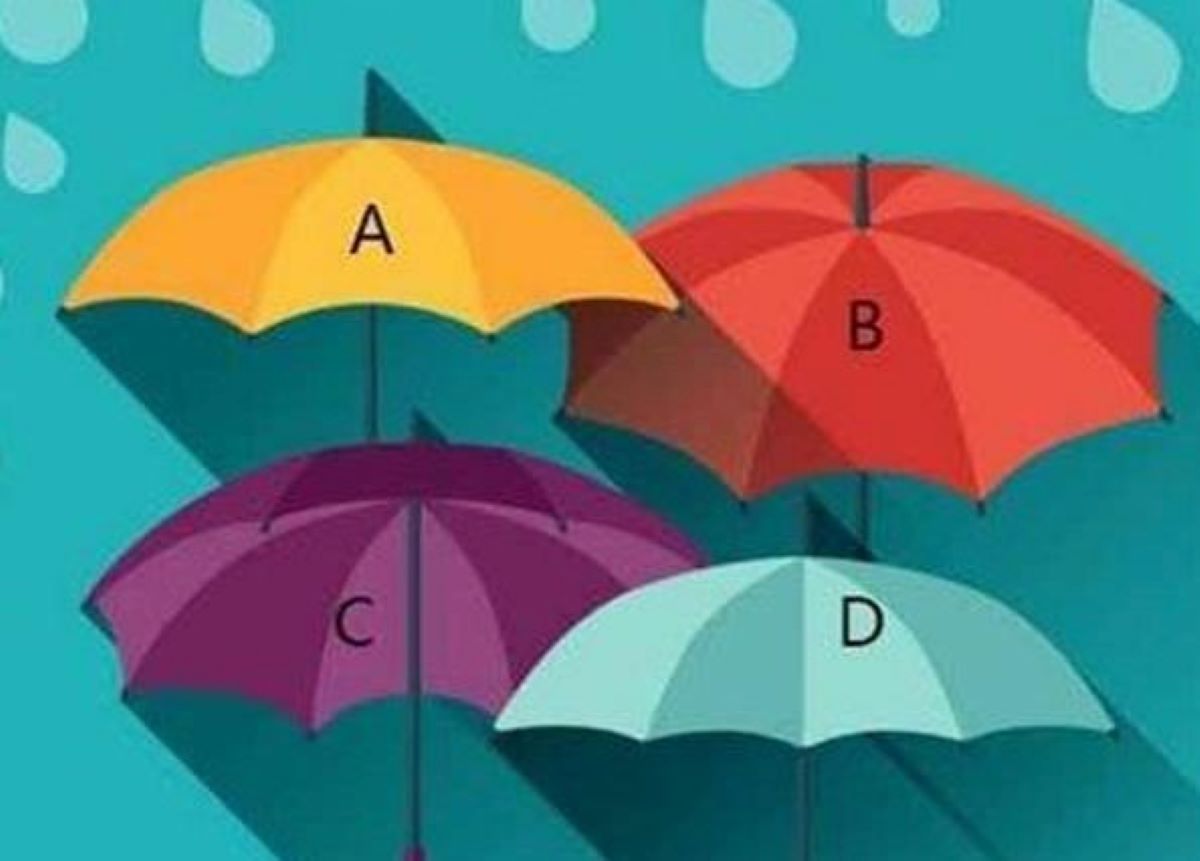 ▲第一眼你會選哪把雨傘？（圖／翻攝自 shinri ）