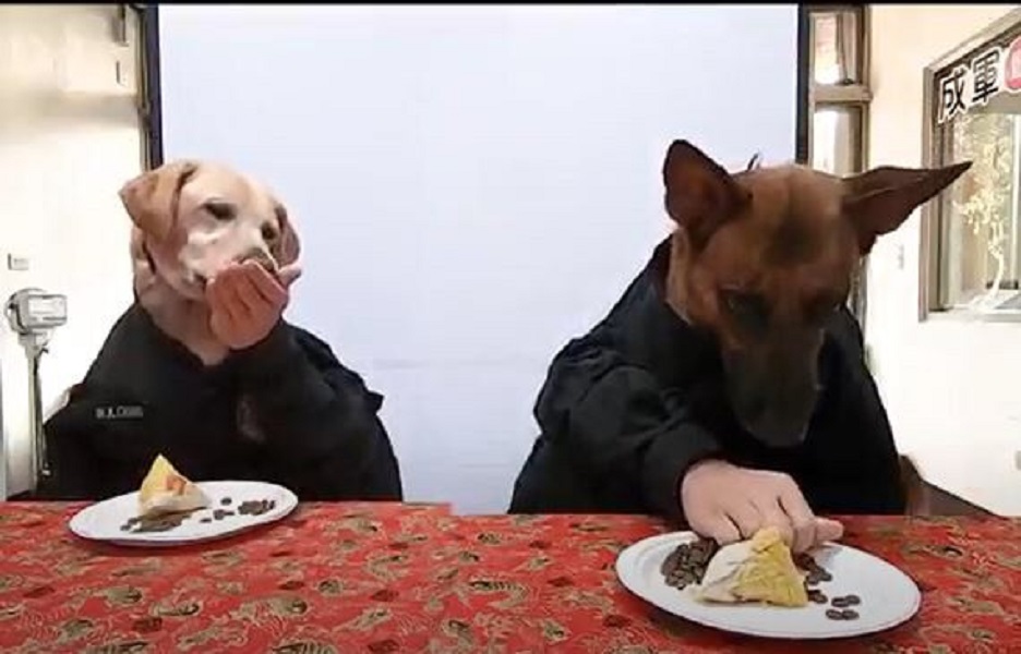 ▲台中市警察局警犬隊將狗食做成粽子犒賞警犬，並拍成搞笑影片分享。(圖/ 記者鄧力軍翻攝)