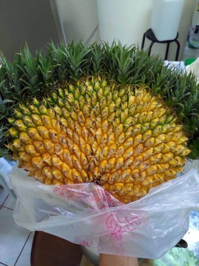 ▲女網友分享自己在市場買回的「鳳梨連體嬰」。(圖/翻攝自