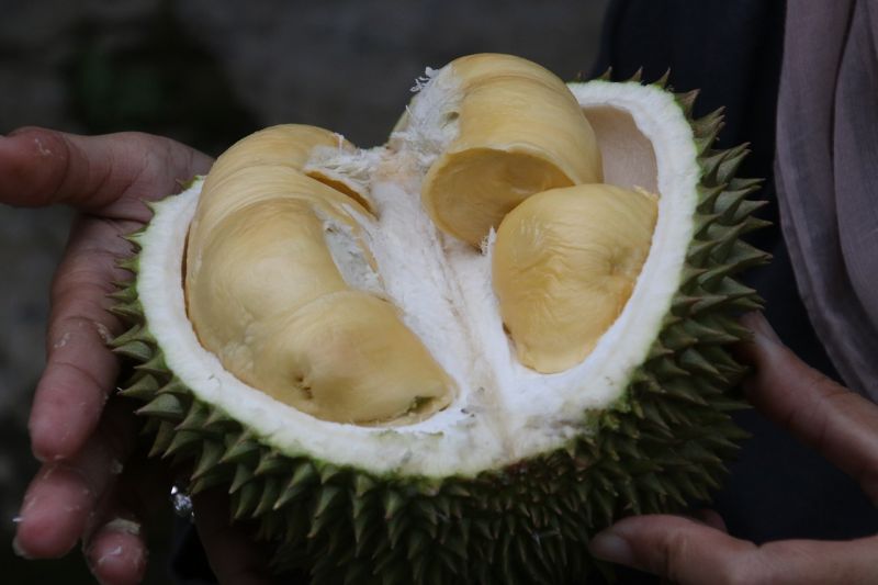 ▲榴槤的味道讓不少民眾卻步。(圖/取自