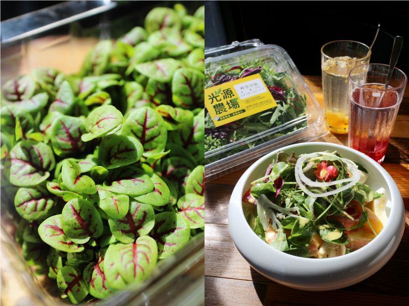▲賴經理認為,選擇台灣在地農場新鮮直送蔬菜食材,口感品質更放心,而且營養價值更高。(圖/資料照片)