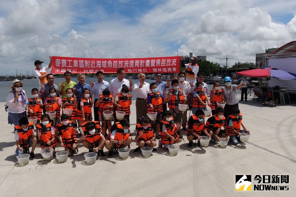▲台塑企業與雲林區漁會在箔子寮漁港進行魚苗放流。（圖／記者洪佳伶攝,2020.06.24）
