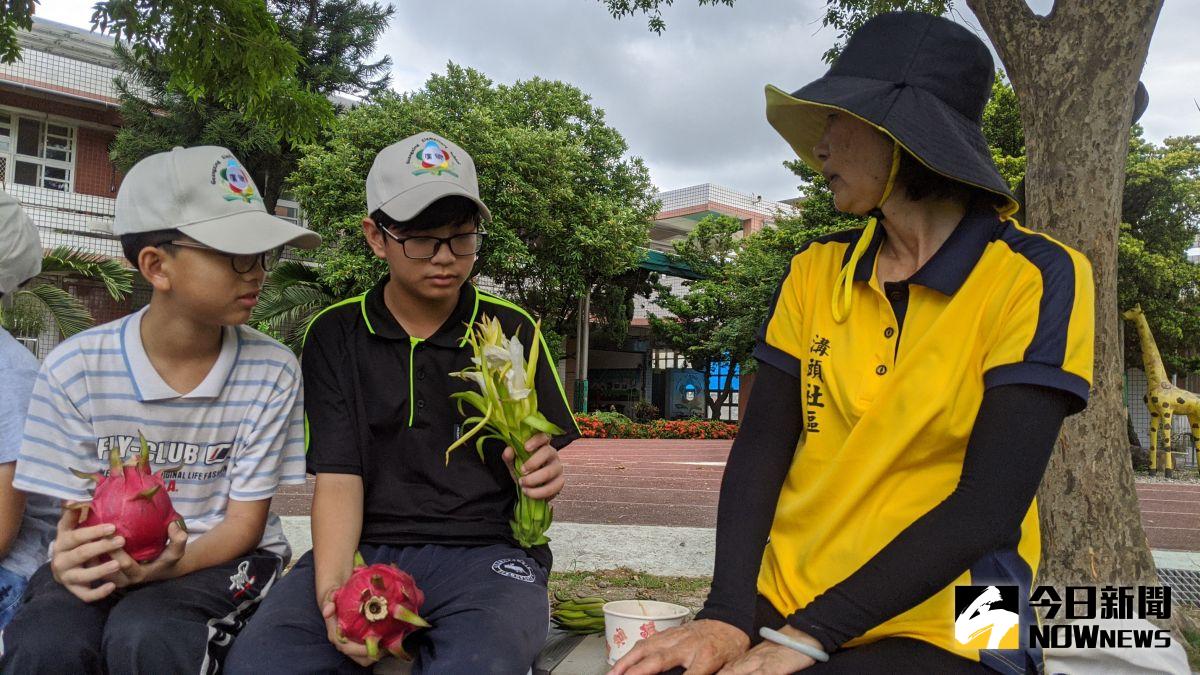 ▲廣興國小邀請「火龍果達人」蔣來祥來學校教導學生搭建廣興專屬的火龍果園，畢業生很開心為學校留下一塊「開心果園」。（圖／記者陳雅芳攝，2020.06.24）