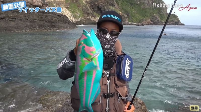 這誰敢吃?沖繩釣到「繽紛怪魚」 花紋絢爛像是塑膠玩具