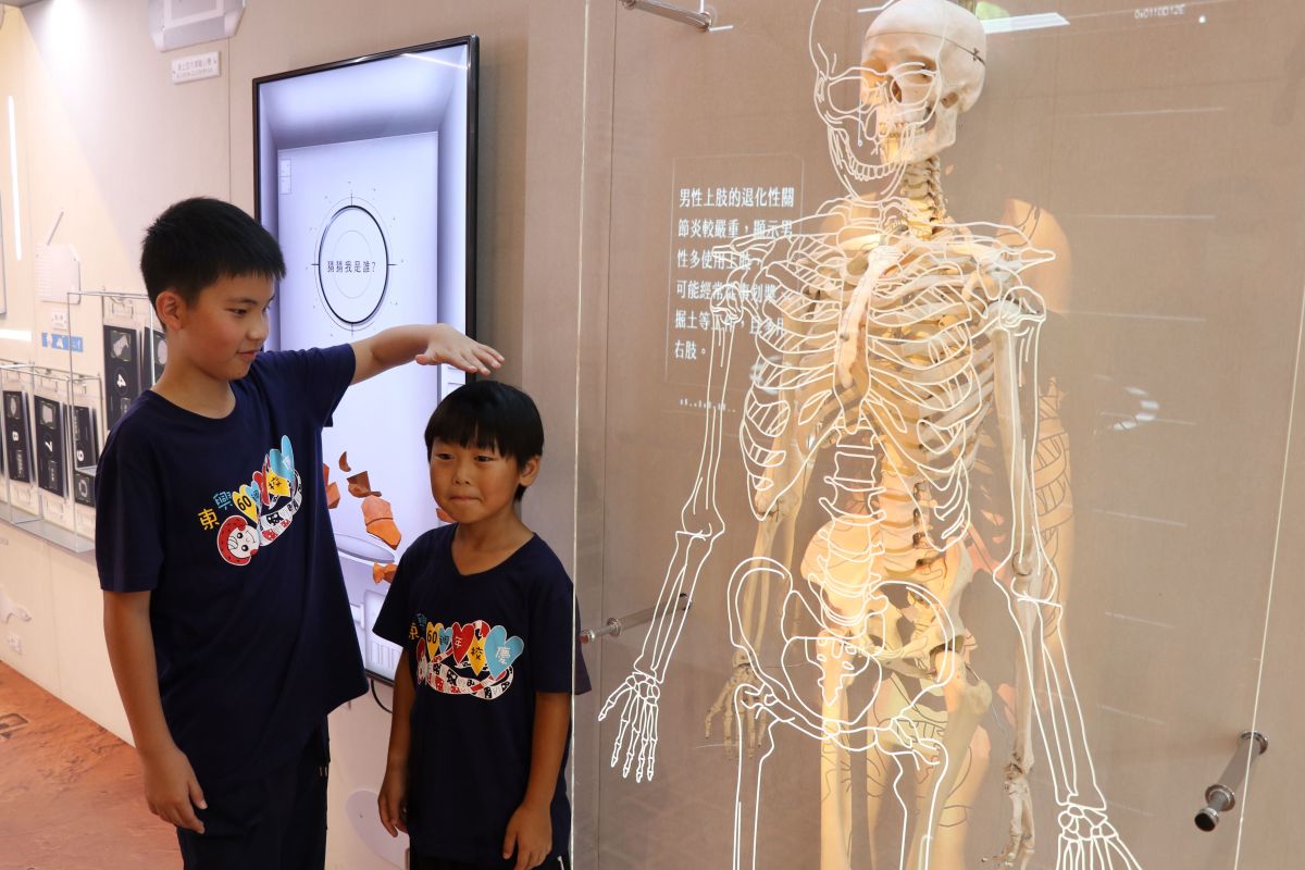 ▲新北市立十三行博物館「科技考古特展」進入展期最後一個月，想要一探考古學家穿越時空破解謎團的武功秘笈，請把握機會。（圖／記者宋原彰攝，2020.06.29）