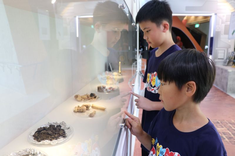 ▲新北市立十三行博物館「科技考古特展」進入展期最後一個月,想要一探考古學家穿越時空破解謎團的武功秘笈,請把握機會。(圖/記者宋原彰攝,2020.06.29)