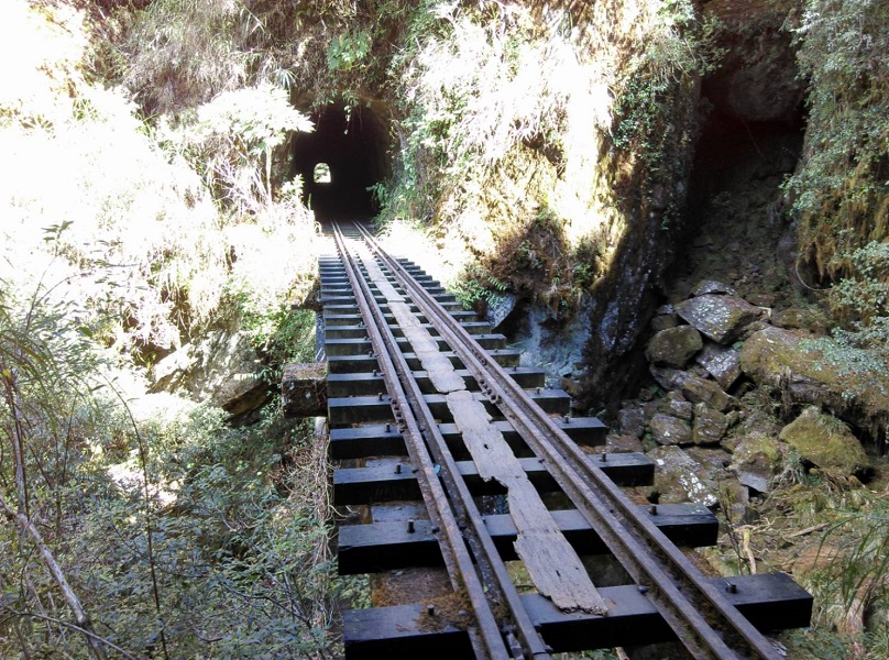 ▲眼月線鐵路有獨特的舊鐵道遺跡。(圖／嘉義林管處提供）