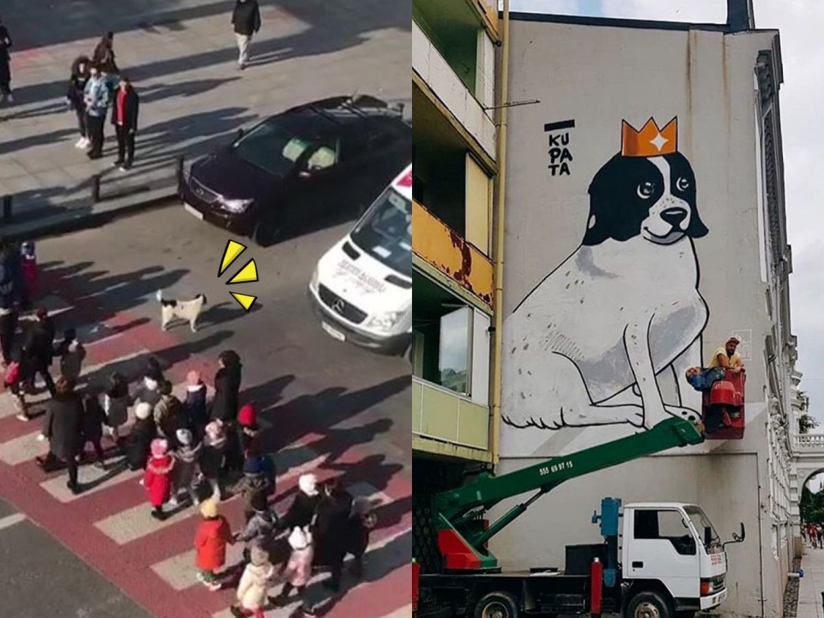 ▲自認交通警察的Kupata在「值勤」時相當認真，絕對要確保幼童的安全。（圖／IG@lovelykupata）