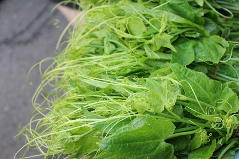 ▲有知情人點出了蔬菜越來越昂貴的5點主因,分別為「蔬菜不好保存」、「前置作業多」、「佔空間」、「點的人少」和「賣不完報廢率高」。(示意圖/翻攝自農業知識入口網-行政院農業委員會網站)