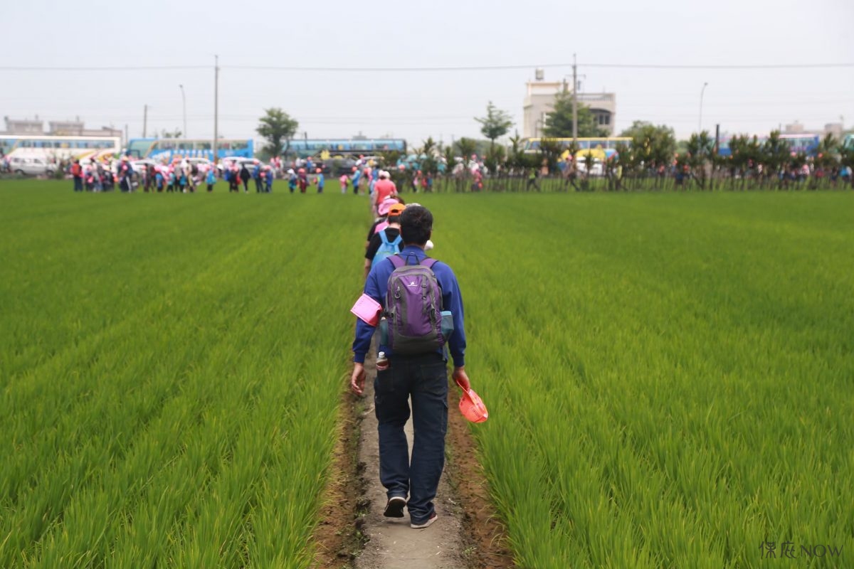 白沙屯媽祖進香資料照。（圖／保庇NOW資料照）