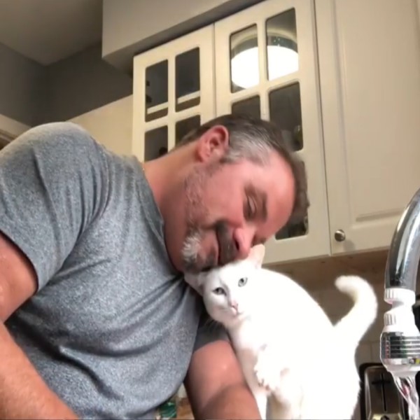 男子洗碗白貓不停上前蹭蹭：把拔我愛你！