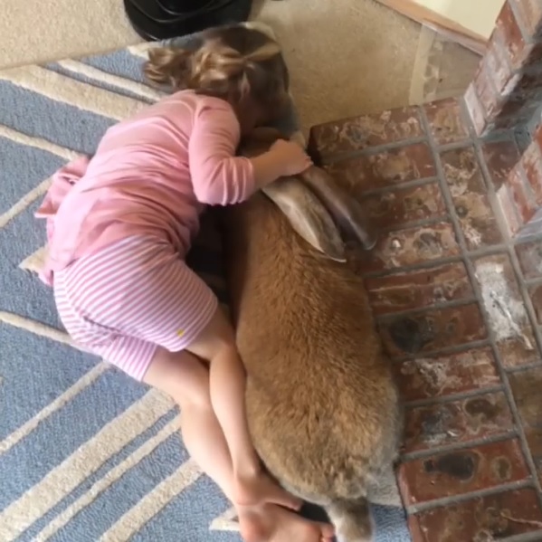 小女孩每天都跟兔兔膩在一起（圖／IG@big_cocoa_puff）