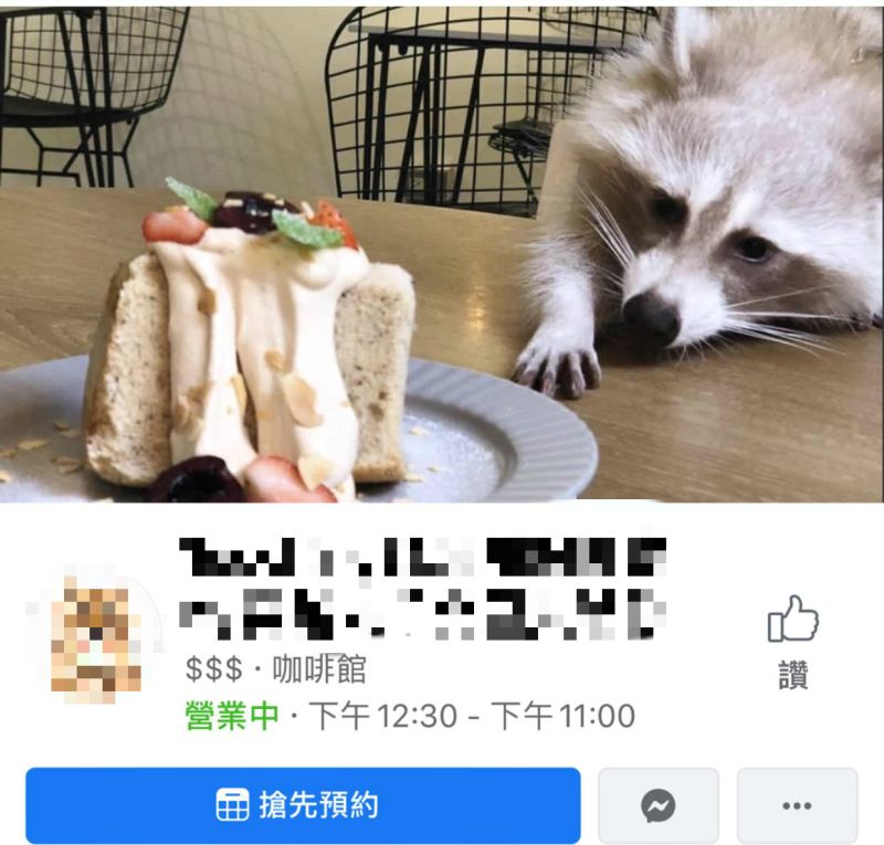 ▲網友踢爆台北知名咖啡店虐待浣熊。（圖／翻攝自當事者臉書）