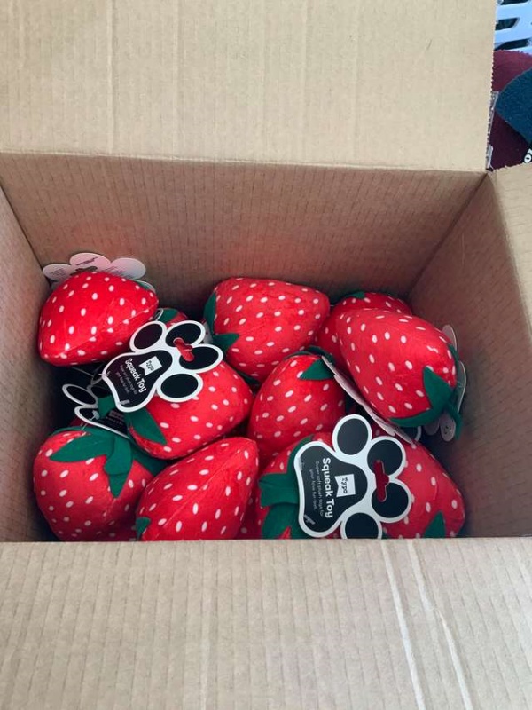 本來以為只會收到2個，打開箱子卻看到20個草莓玩具！（圖／Hayley Martin）