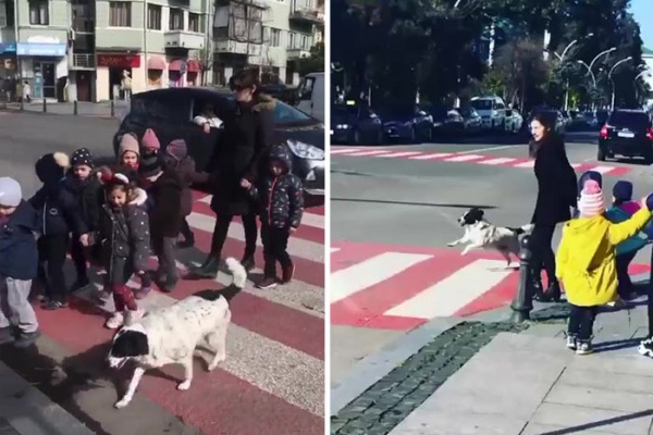 自認交通警察的Kupata在「值勤」時相當認真，絕對要確保幼童的安全。（圖／IG@lovelykupata） 