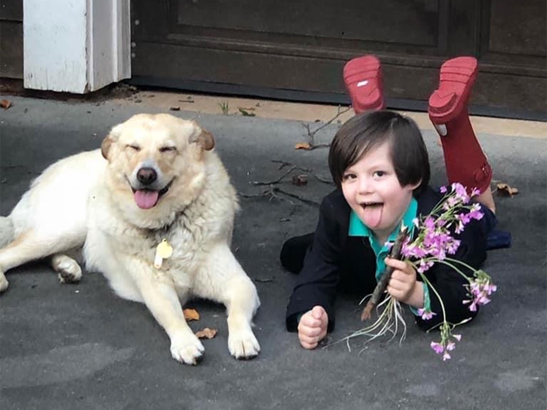 5歲弟想婚！挑吉日盛裝「求婚愛犬」：我長大牠就不在了