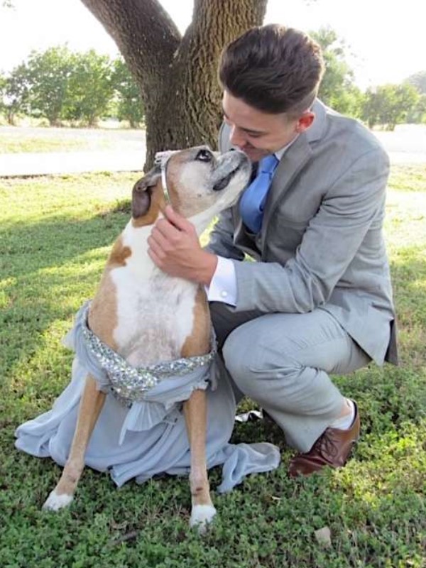 畢業舞會被取消　少年帶燦笑愛犬穿禮服：我們自己辦！