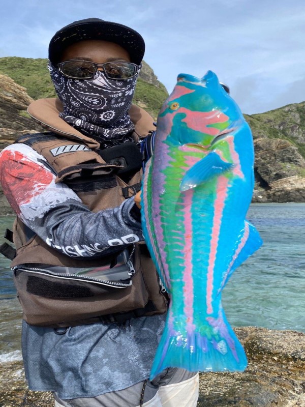 這誰敢吃？沖繩釣到「繽紛怪魚」　花紋絢爛像是塑膠玩具