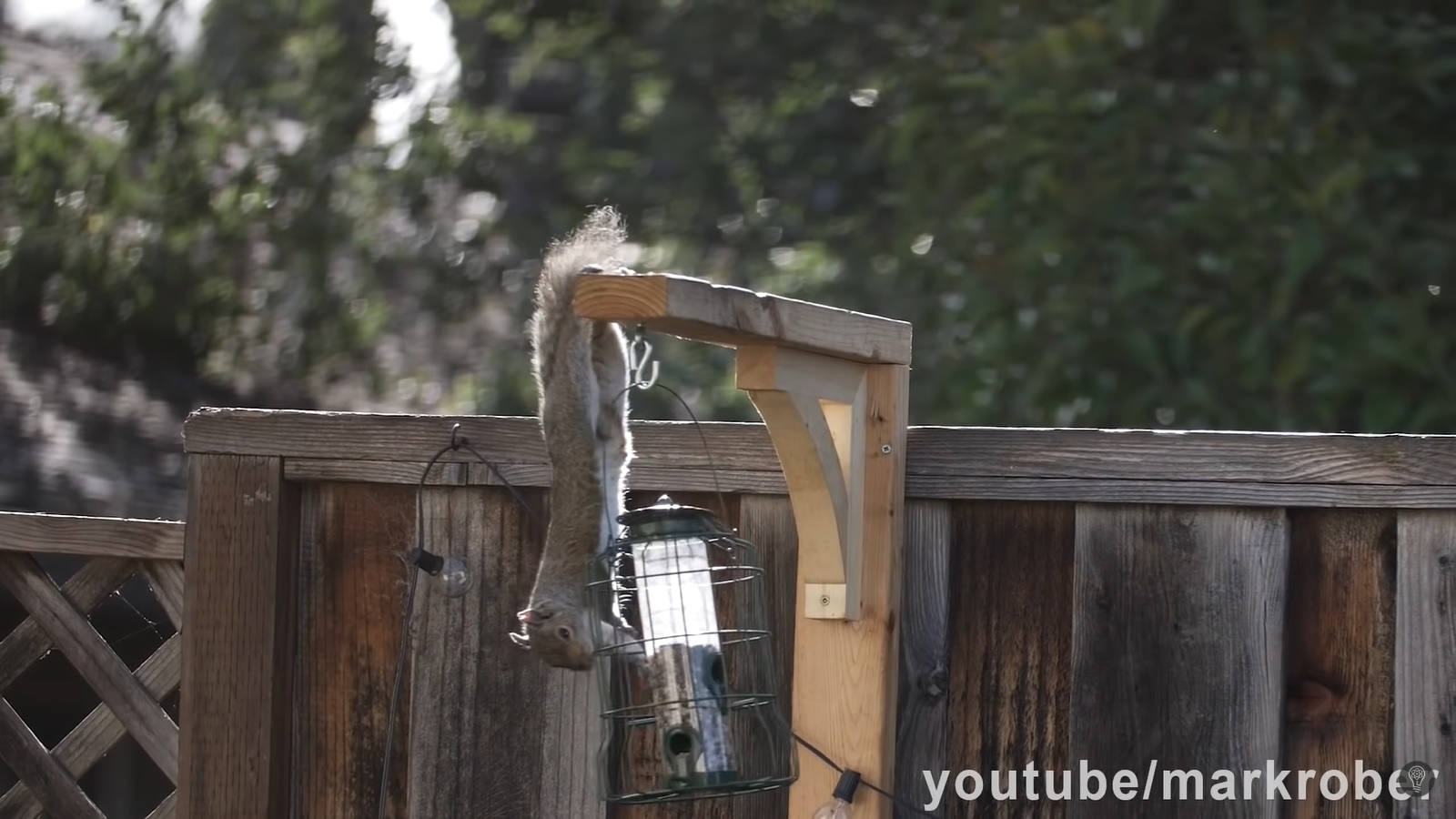 購入防松鼠偷吃的餵鳥器（圖／YouTube@Mark Rober）