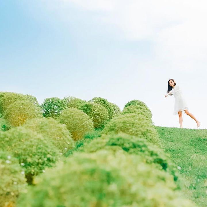 ▲圓茸茸療癒美景-故宮南院波波草。（圖／授權自ig：look1221）