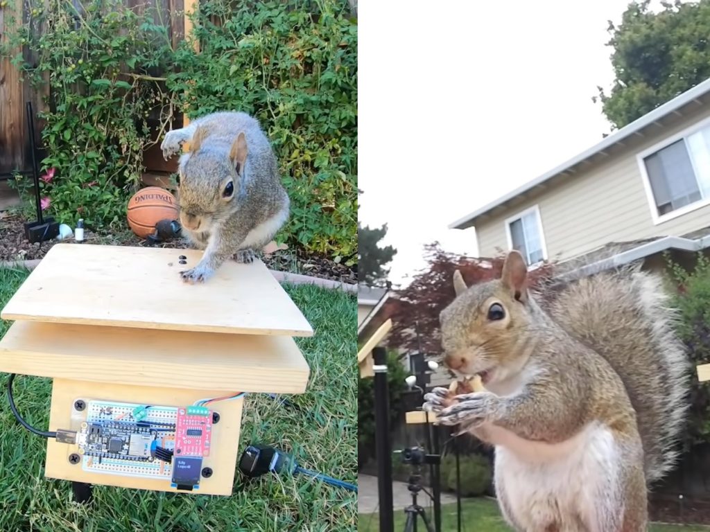 工程師為解決松鼠偷吃餵鳥器，精心設計重重機關。（圖／YouTube@Mark Rober）