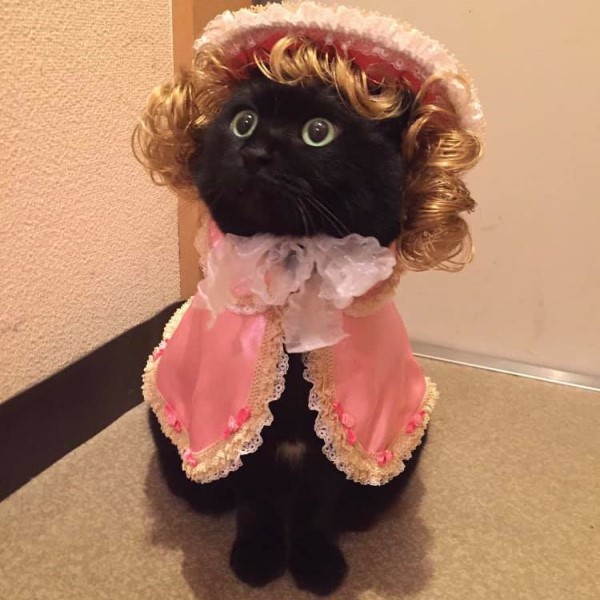 誰說黑貓不上相？來看看歐嚕嚕喵星人超百搭的裝扮吧！