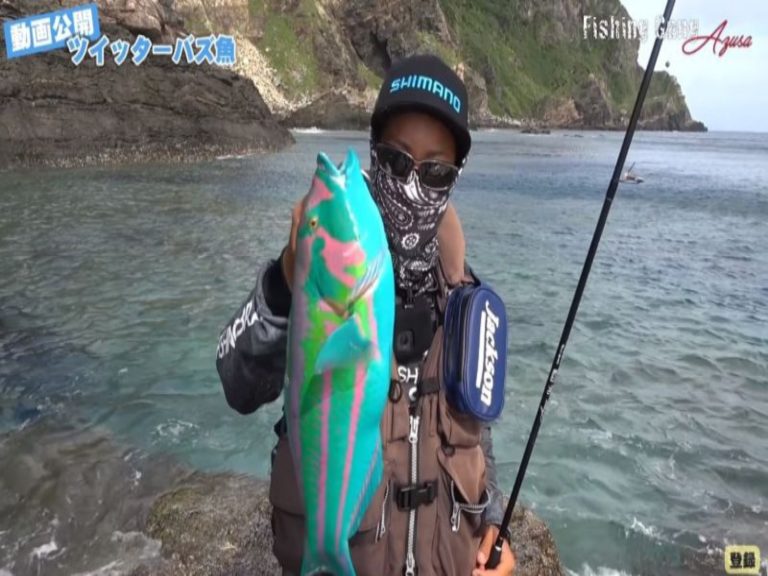 ▲日本男在沖繩釣到「繽紛怪魚」，引發熱議。（圖／翻攝自「フィッシングギャング/宮城梓」Youtube 影片截圖）