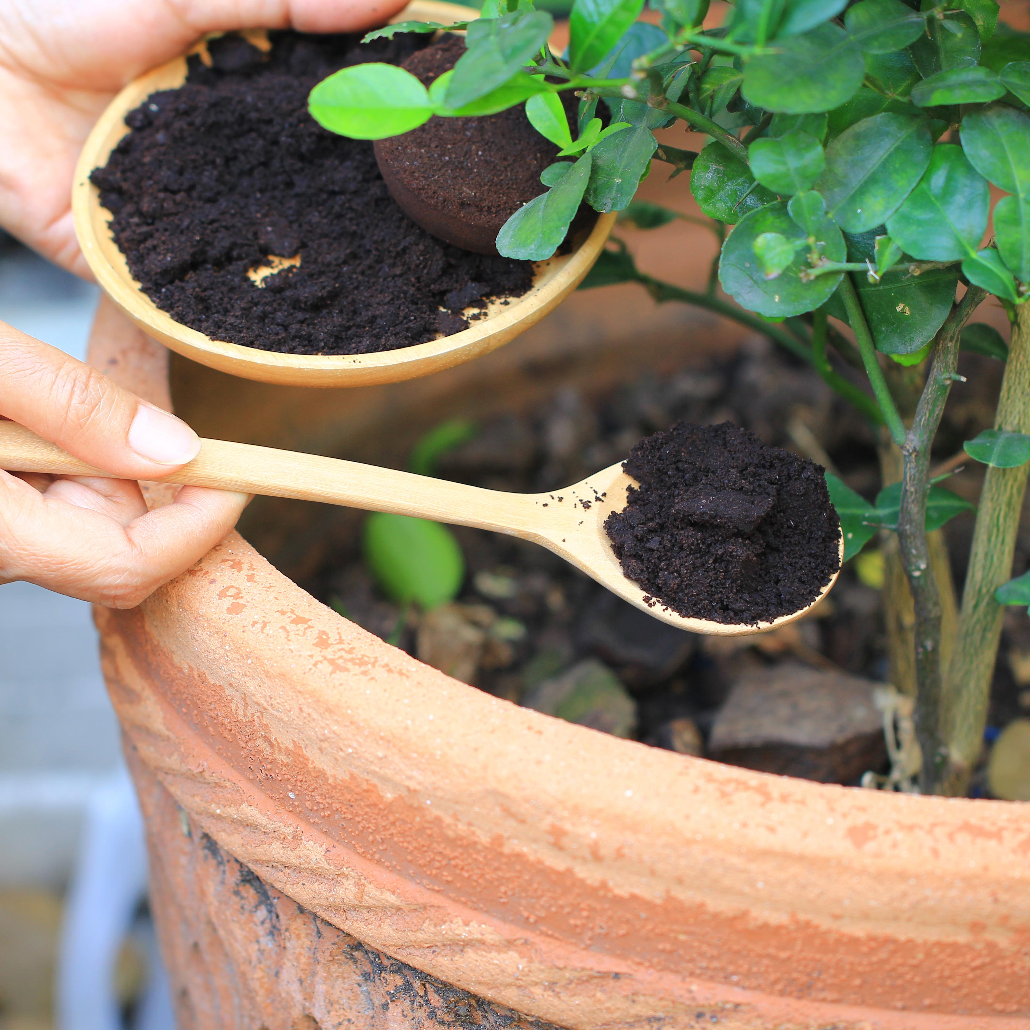 ▲咖啡渣可以作栽種植物的肥料。（圖／shutterstock）