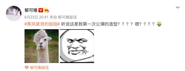 ▲郁可唯參加節目的髮型,與羊駝非常像,因此她貼出羊駝照片自嘲。(圖/翻攝郁可唯微博)