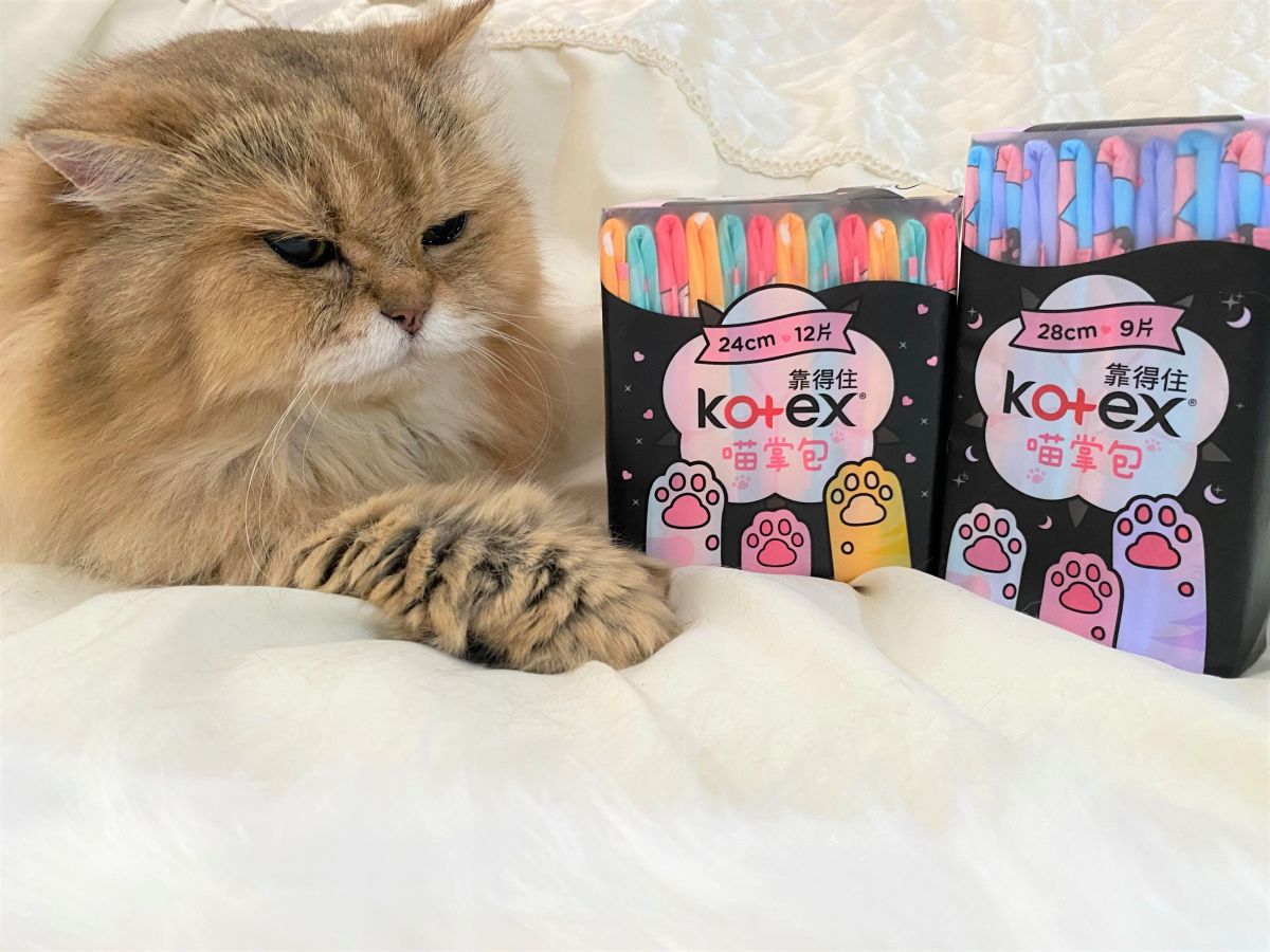 ▲Kotex推出超萌喵掌包  包裝以繽紛肉球貓掌為主視覺  讓貓奴手刀衝一波。（圖/公關照片）