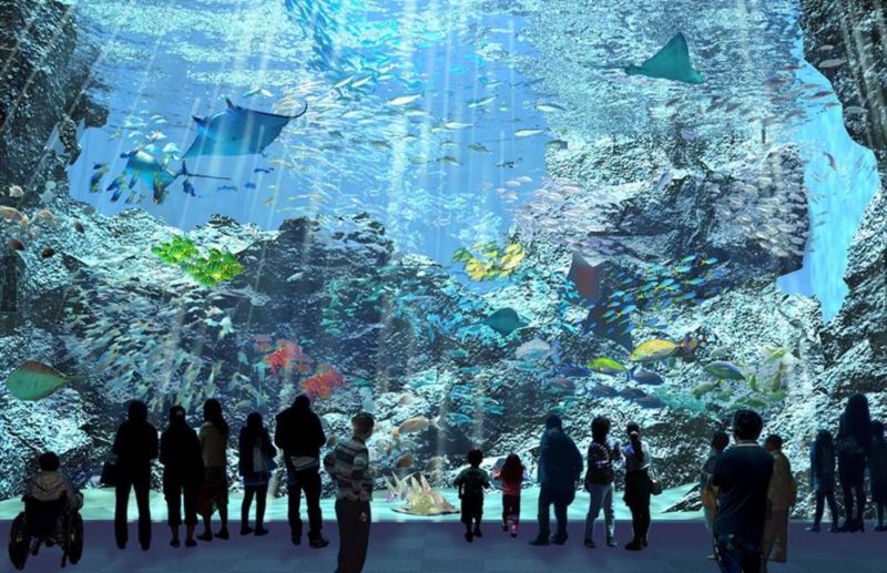 網美衝了！　全台首間「國際級水族館」即將開幕
