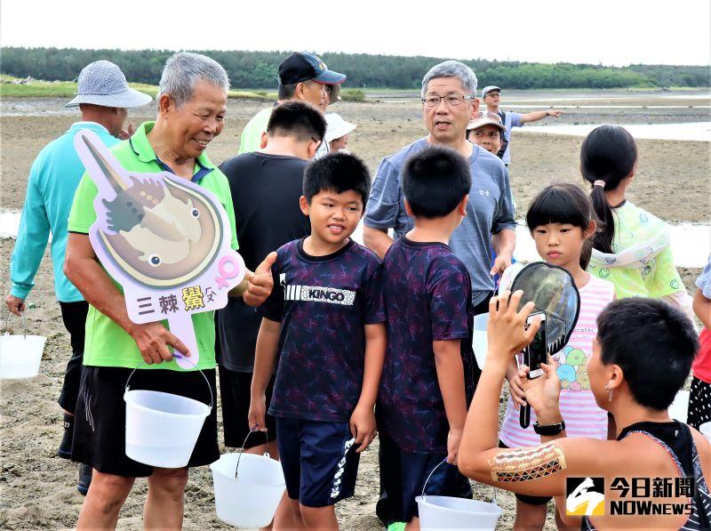 守「鱟」海洋　澎湖首次放流500尾三棘鱟
