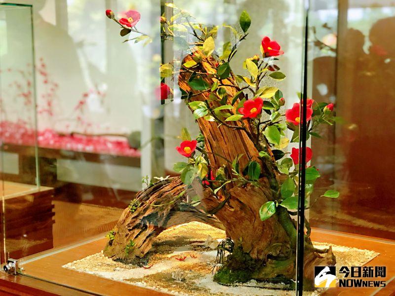 ▲展覽分為三個展區,手作盆栽、創意珠寶擺掛飾、蕾絲刺繡飾品。(圖/記者陳美嘉攝,2020.07.02)