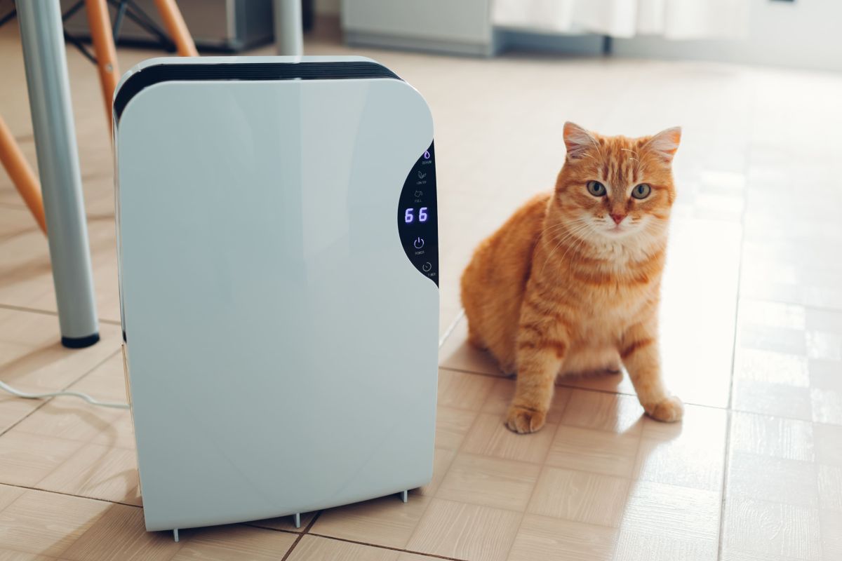 ▲除濕機放在房間正中央其實效果不是最好。(圖／信義居家提供）