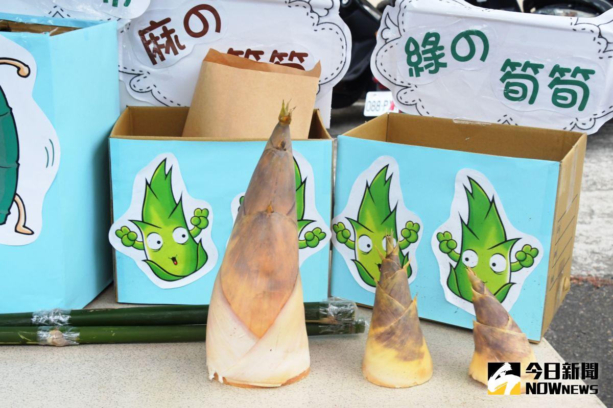 ▲夏季是竹筍的盛產期，花壇竹筍節活動有竹筍料理。（圖／記者陳雅芳攝，2020.07.04）