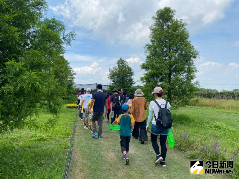 ▲今夏就來場令人迷醉的「微醺之旅」吧!在台灣酒窖啟航。(圖/記者陳雅芳攝,2020.07.04)