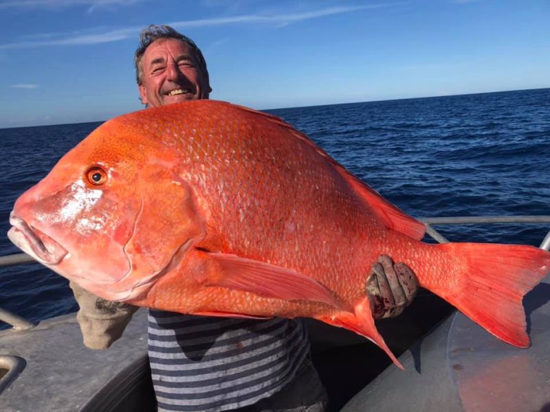 ▲澳洲男子艾德（Ed Falconer）釣起重達22公斤、104公分長的川紋笛鯛（Red emperor）。（圖／翻攝Rainbow Beach  Fishing臉書）