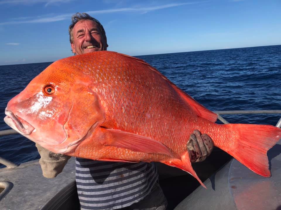 ▲澳洲男子艾德（Ed Falconer）釣起重達22公斤、104公分長的川紋笛鯛（Red emperor）。（圖／翻攝Rainbow Beach  Fishing臉書）