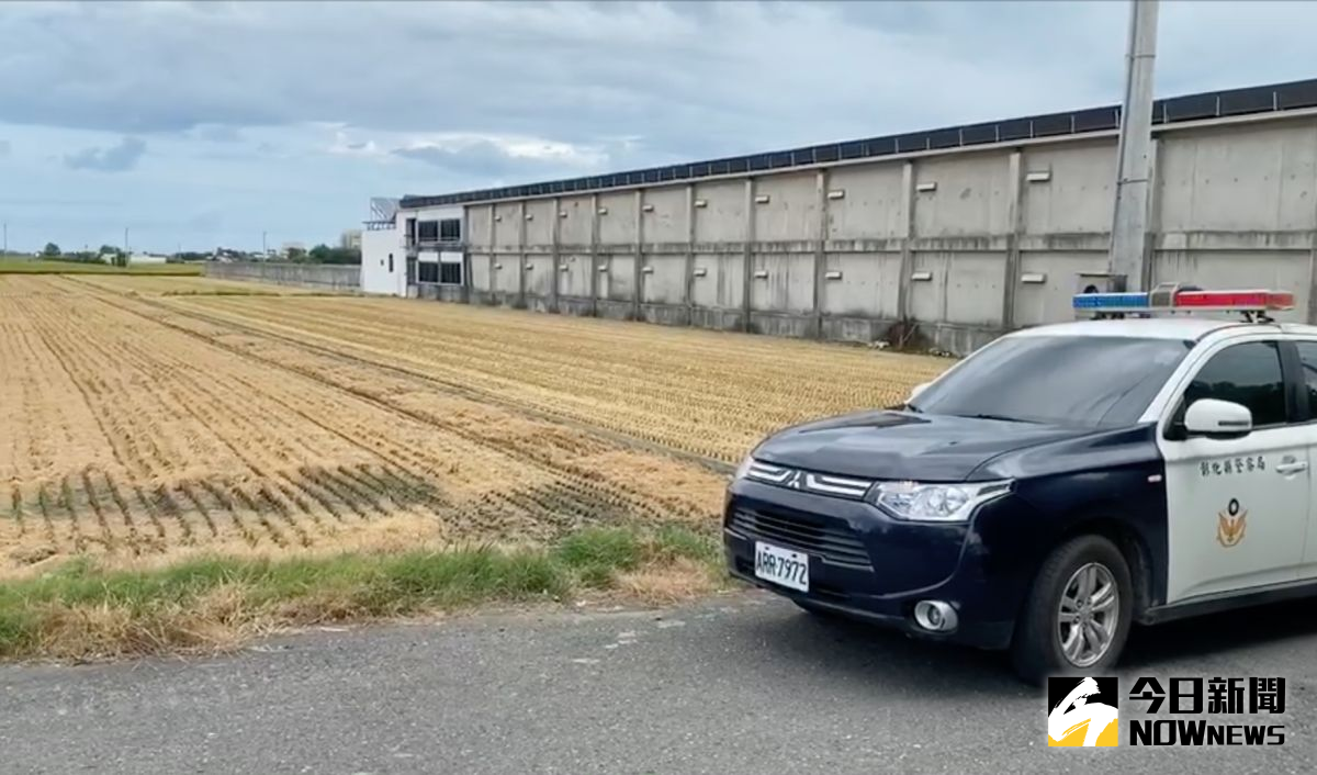 ▲苑鄉施姓農民近5分地的稻田，遭不明人士盜割，警方調查，代耕業者在未知會農民就調派割稻機與載穀車到場收割。（圖／記者陳雅芳攝，2020.07.06）