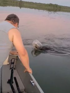 ▲一開始還不知道是狗還是什麼動物，近看才知道是隻熊熊頭卡在塑膠罐內。（圖／Facebook@Tricia Hurt）