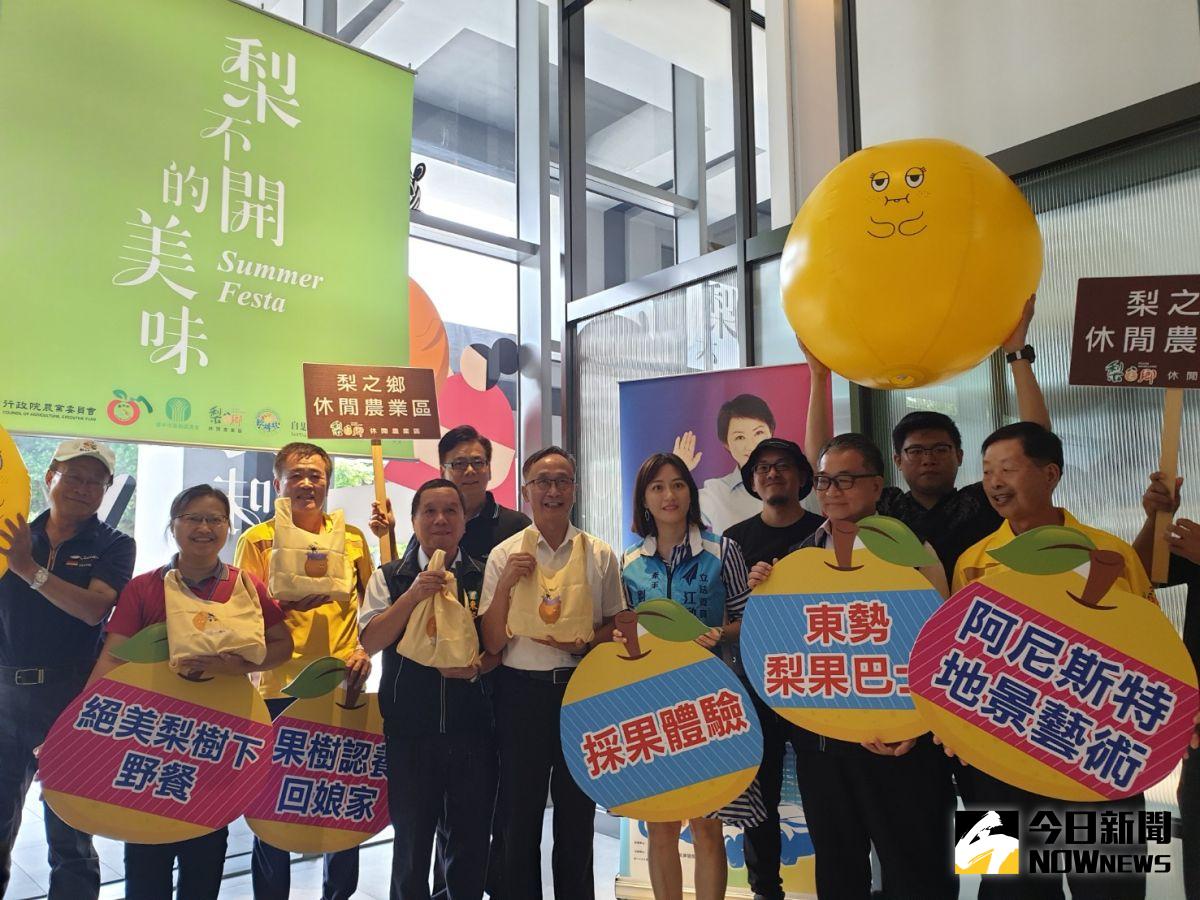 ▲又是東勢水梨盛產季，東勢農會創新手法打造出公仔阿梨代言，行銷美食美景。（圖／金武鳳攝，2020.7.7)