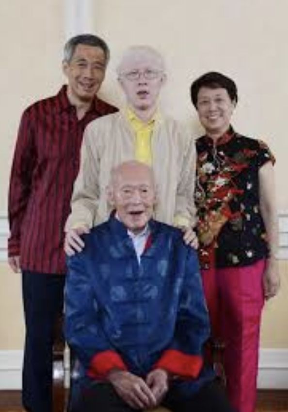 ▲李顯龍長子李毅鵬身患白化症,過去也受自閉症困擾。(圖/翻攝kknews)