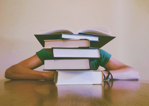 ▲讀書(圖/翻攝 Pixabay ) ▲一名台大男學生表示自己「沒有讀書天份」,透露自己考不上「4科系」醫牙電資,感嘆「不上不下最痛苦」。(示意圖,圖中人物與當事者無關/取自Pixabay )