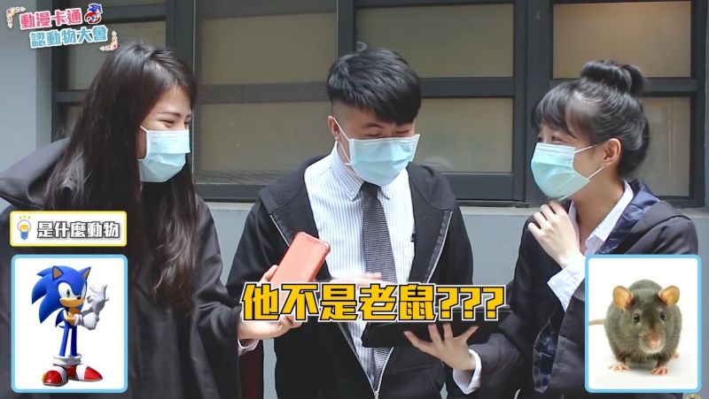 ▲音速小子不是老鼠啦~(圖/三個麻瓜授權提供)