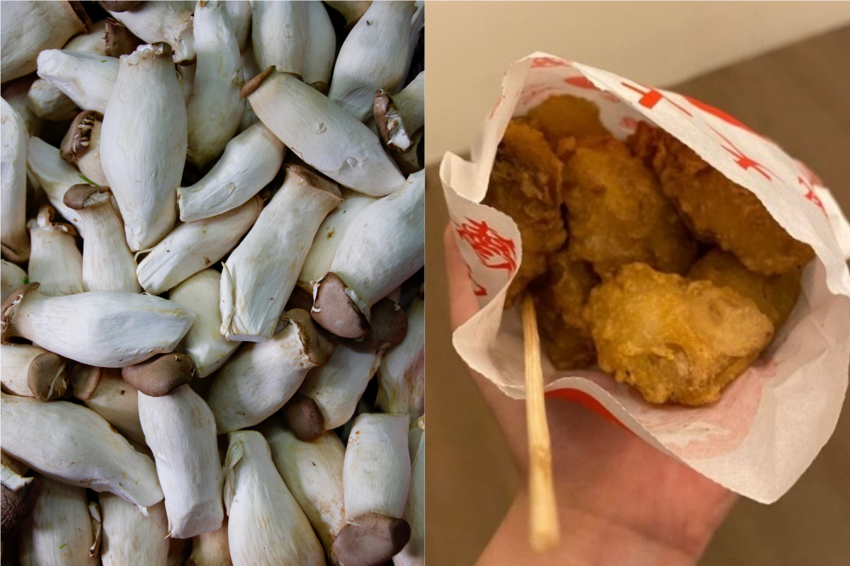 ▲一名女網友在網路上分享炸杏鮑菇的吃法，而引起許多人討論。（圖／翻攝 Pxhere 、 Dcard ）