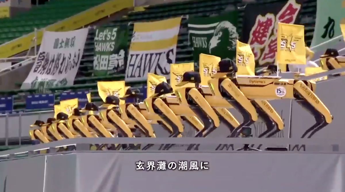 ▲軟銀機器人應援團。（圖／取自推特）