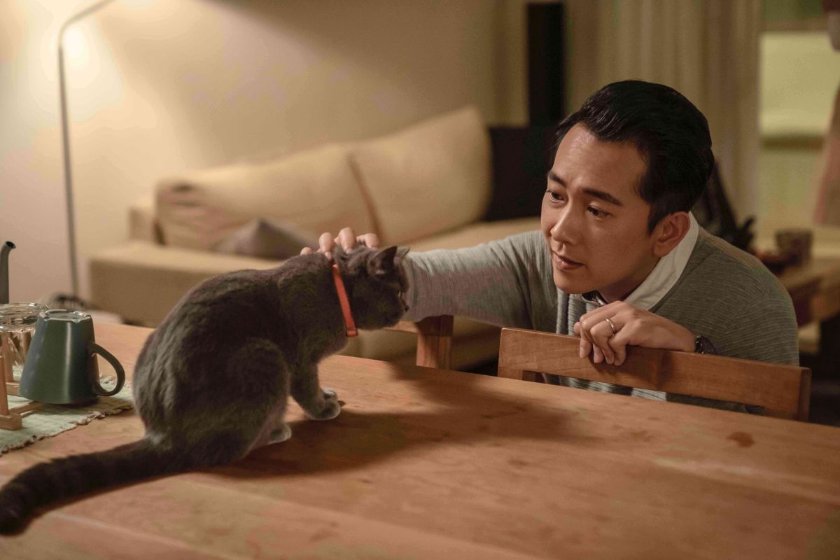 ▲施名帥和貓咪拍戲，回家被寵物嫌棄。（圖 / LINE TV提供）
